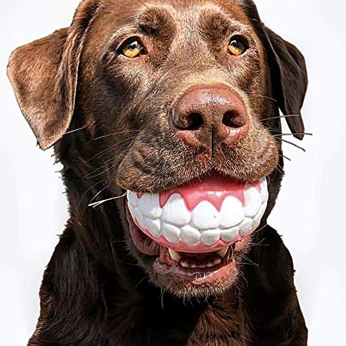 Funny Fetch Ball for Dogs