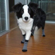 Indoor Dog Socks Senior Moments, Indoor Dog Booties For Hardwood Floors
